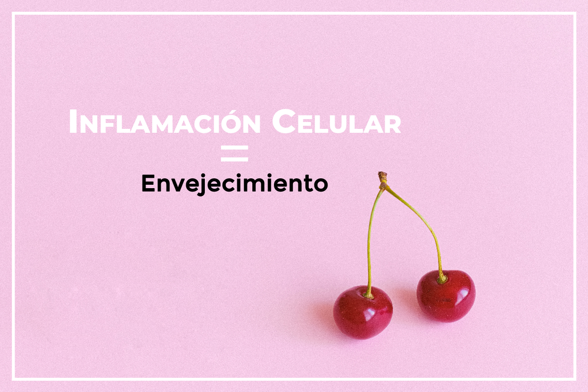 INFLAMACIÓN CELULAR Y ENVEJECIMIENTO